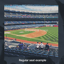 MLB-Reg-view.jpg